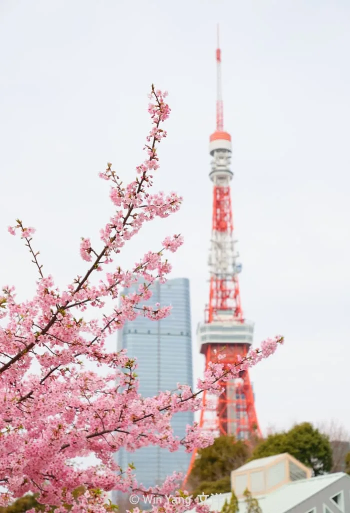 一窺2023年六大馬拉松之一東京馬拉松賽事舉辦細節 - 2026 文洋獎盃 東京馬拉松1 - 2026 文洋獎盃