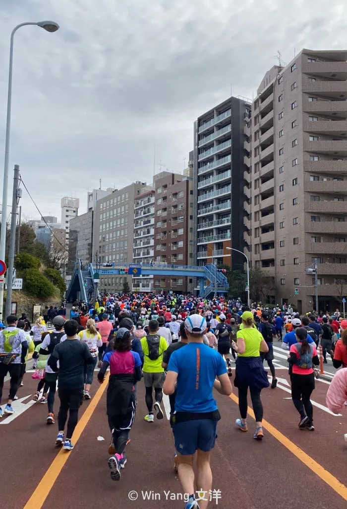 一窺2023年六大馬拉松之一東京馬拉松賽事舉辦細節 - 2026 文洋獎盃 東京馬拉松13 - 2026 文洋獎盃