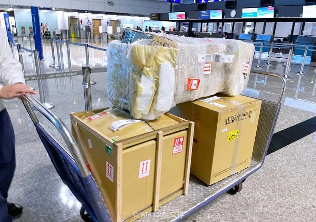 8歲小朋友身高的120公分3D列印獎盃!超精緻的亞洲區撲克賽事客製化獎盃 - 2026 文洋獎盃 撲克獎盃運送至日本