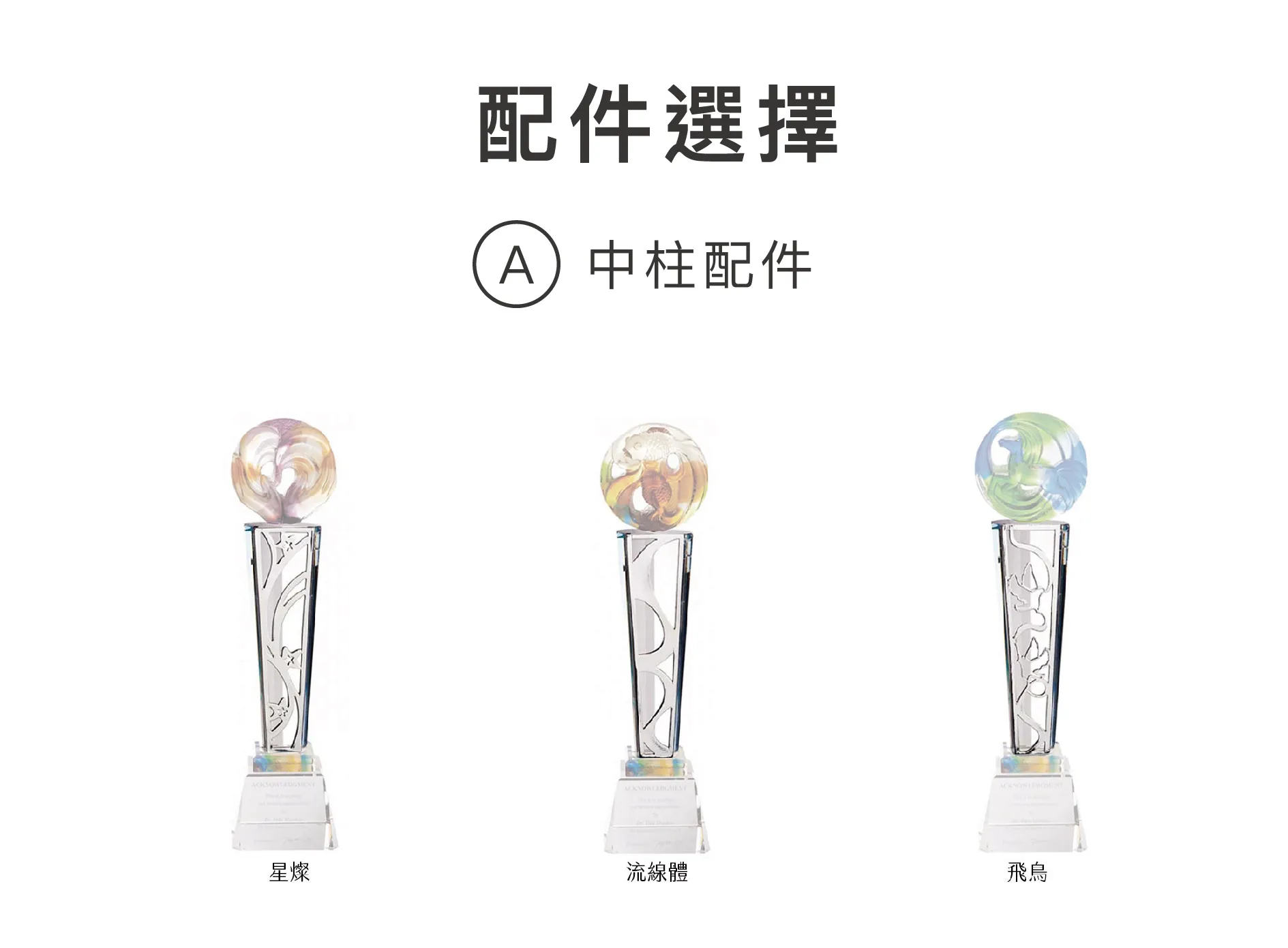 商品顯示參考 02 1 - 2026 文洋獎盃